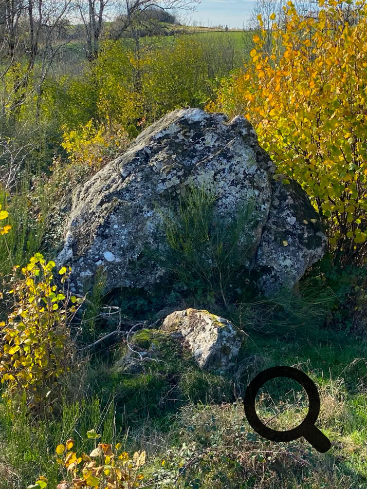 Un grand rocher entouré de végétation, avec des arbres aux feuilles jaunes et vertes en arrière-plan.