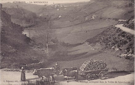 Attelage auvergnat dans la vallée de Saint-Sauves 