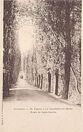 Route de Saint-Sauves 