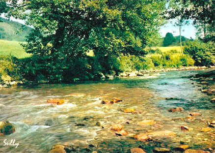 Bord de la Dordogne