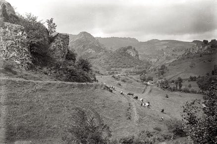 Négatif sur plaque de verre 