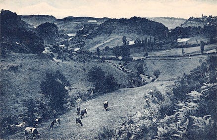 Vallée de Saint-Sauves 