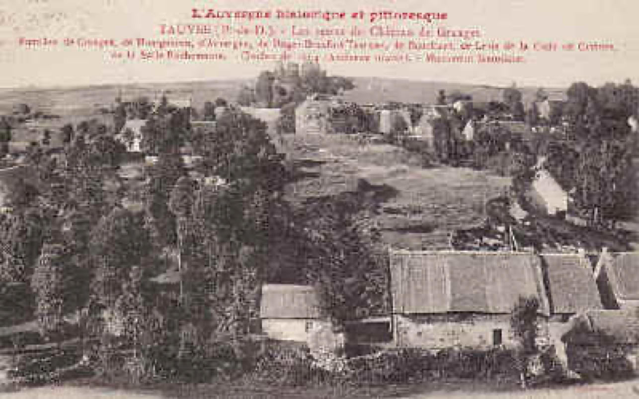 Vue aérienne d'un village avec des maisons entourées d'arbres et des champs à l'arrière-plan.